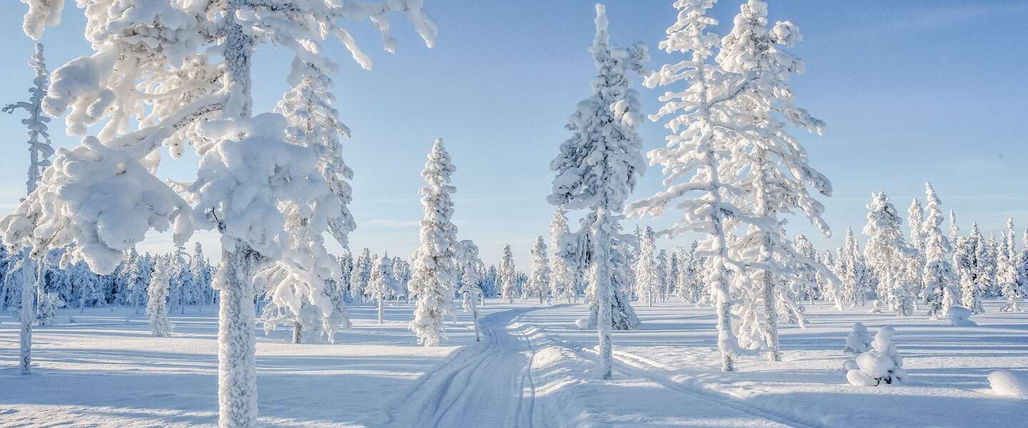 unieke-winteractiviteiten-lapland-1.jpg