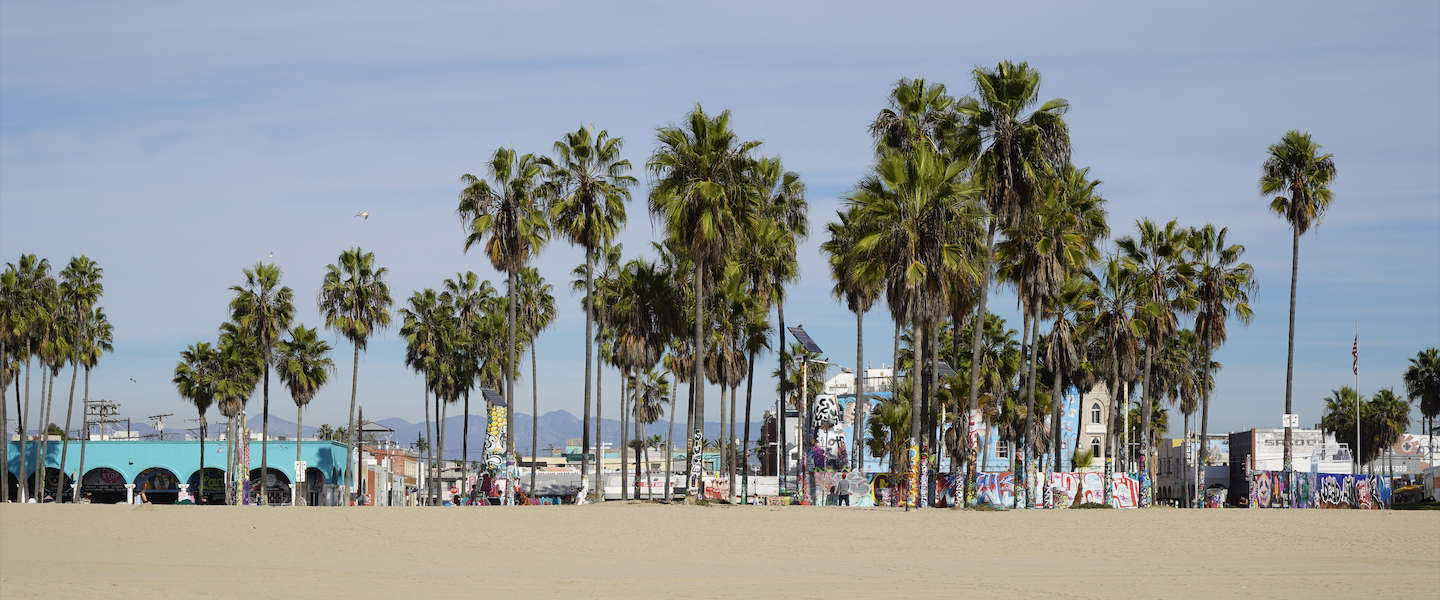 vanice-beach.jpg