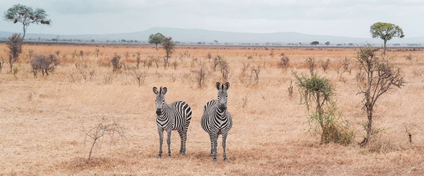 video-afrika-1.jpg