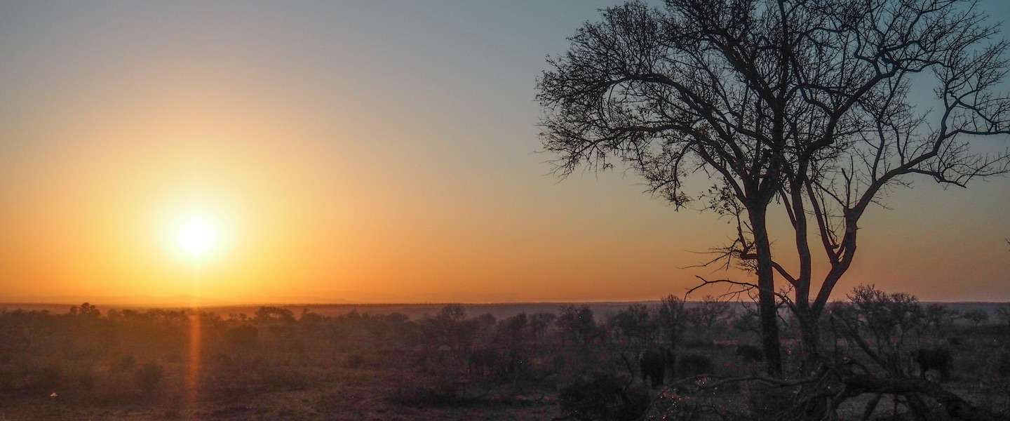 virtuele-reis-afrika.jpg