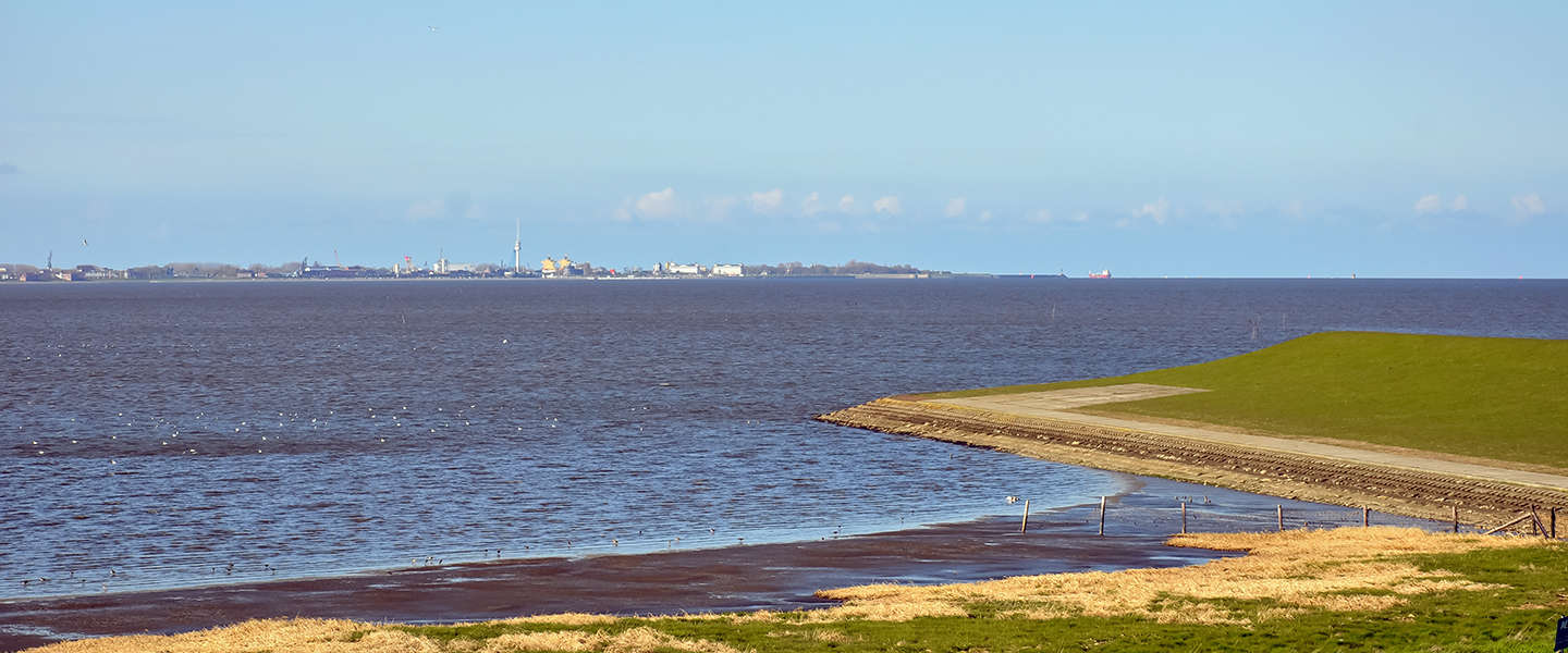 wadden.jpg