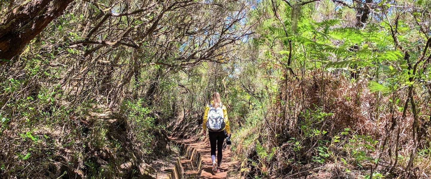wandelen-madeira.jpg