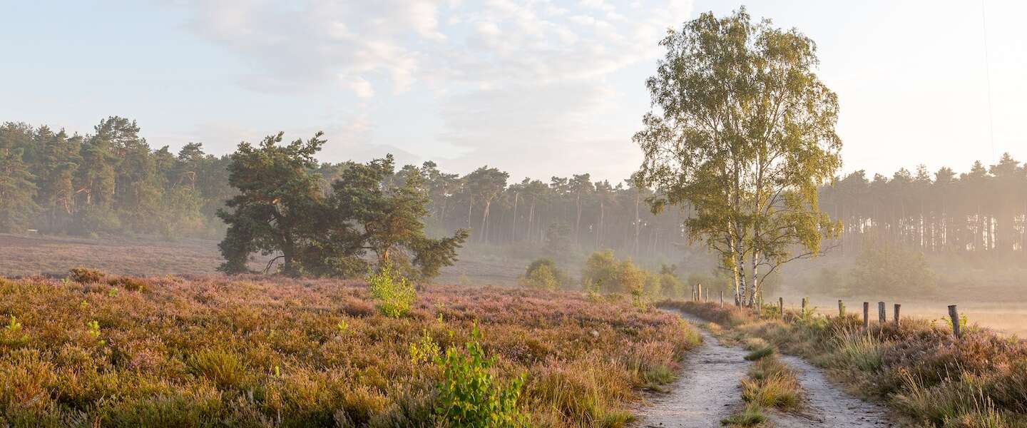wandelroutes-nederland-belgie.jpg
