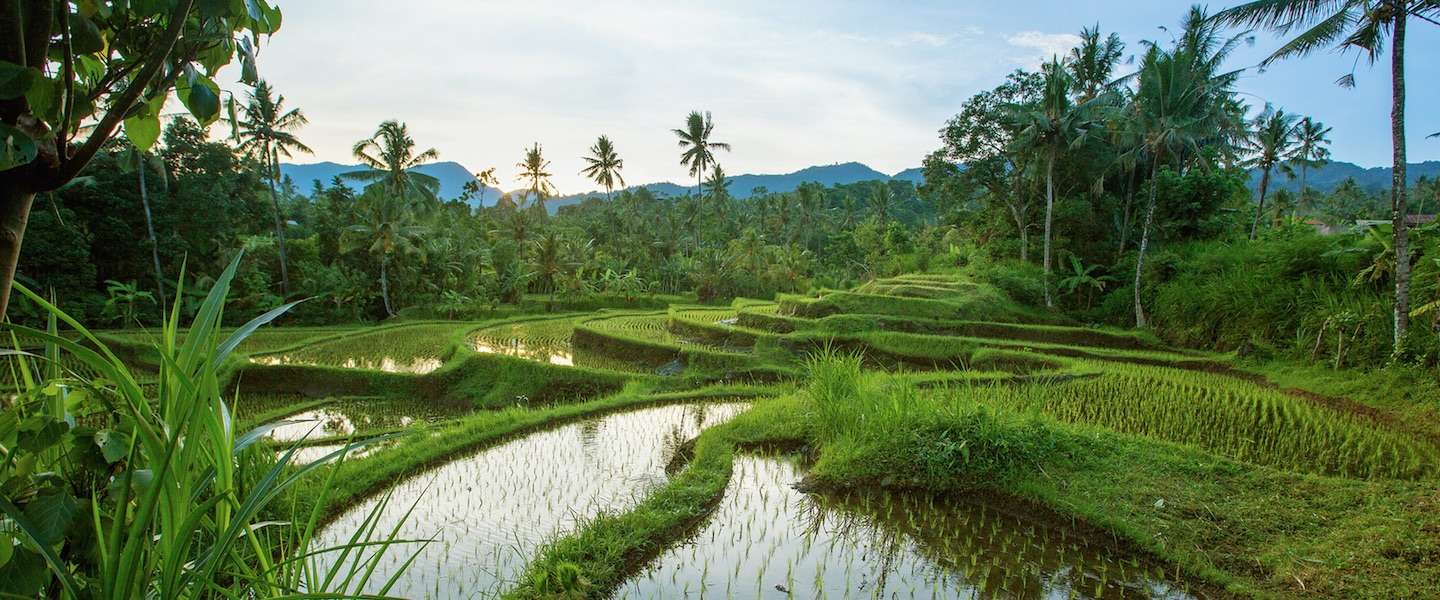 watervallen-bali.jpg