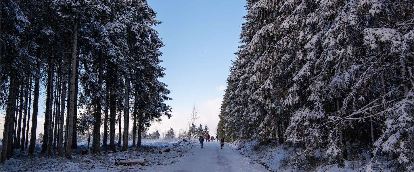 winterwandeling-hoge-venen-belgie.jpg