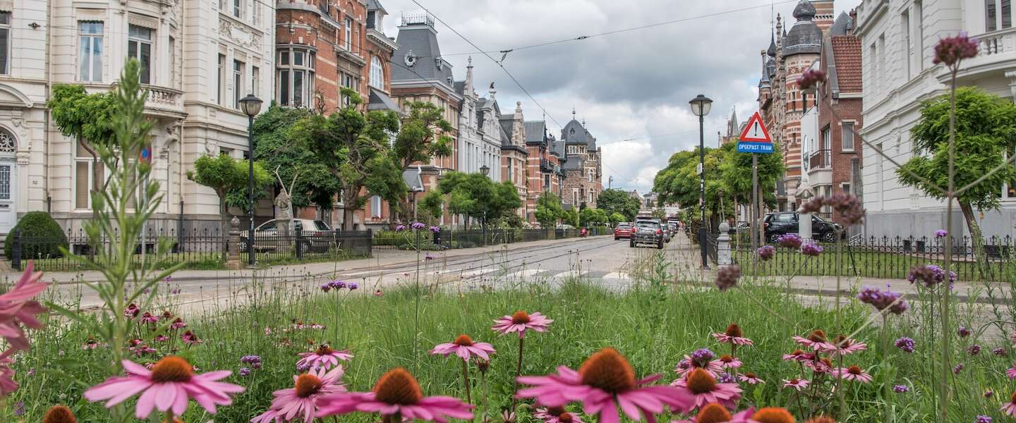 zurgenborg-wijk-antwerpen.jpg