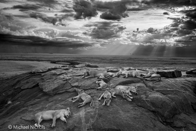 02_museon_wpy_2014_michael_nichols_resize