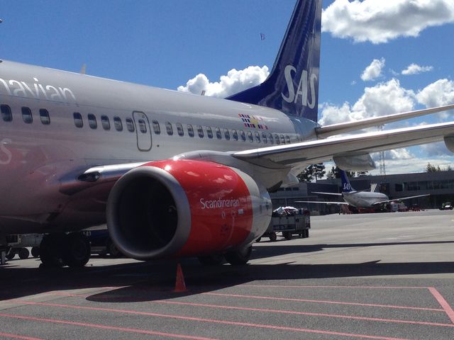 SAS Airbus 319