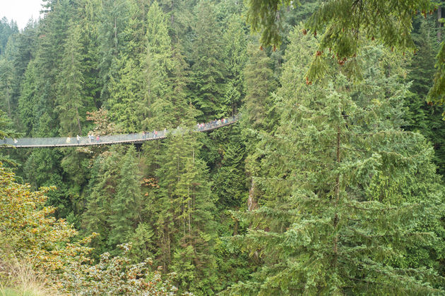 Capilano Suspension Bridge heeft met zijn hangbruggen en hoge dennenbomen iets magisch!