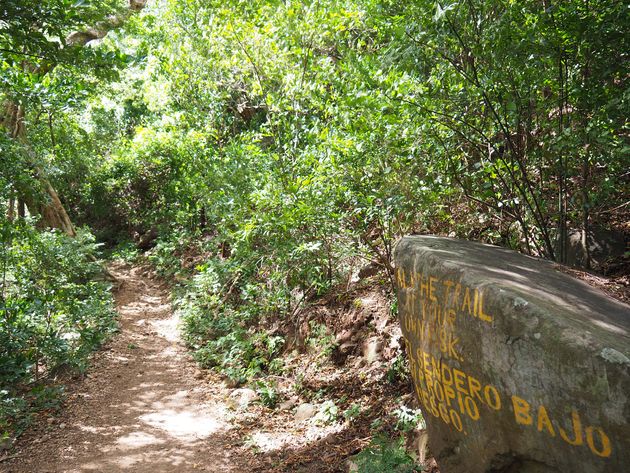 <em>Hike door de jungle naar de San Ram\u00f3n waterval<\/em>