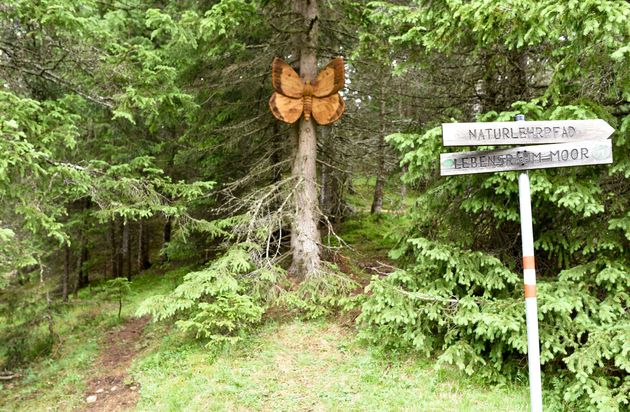 Het natuurleerpad, heel leuk voor kids!