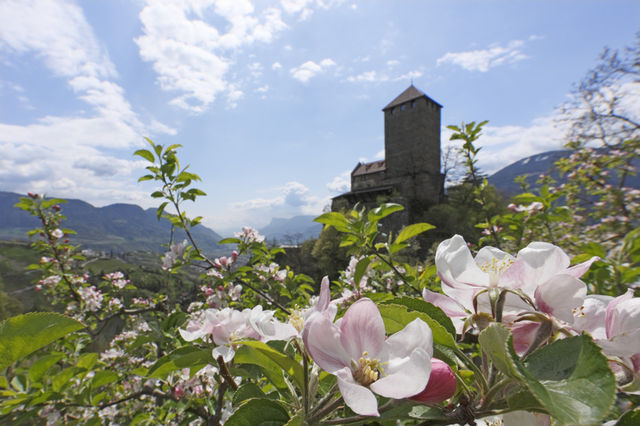 Tirolo is h\u00e9t wandelparadijs van de Alpen