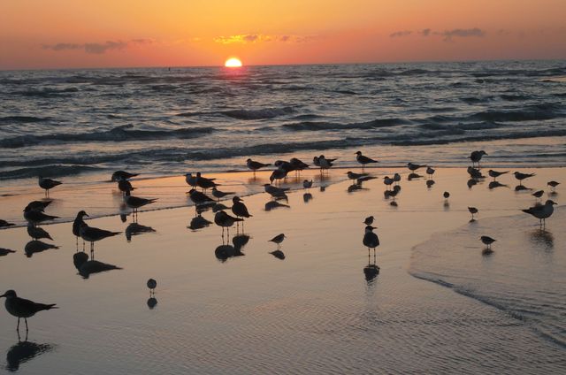 adembenemende_stranden_siesta_key