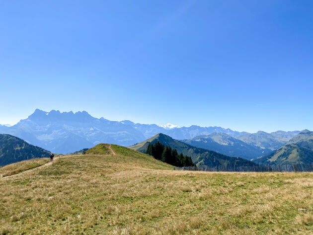 Prachtig uit zicht op de top van Le Morclan op de Mont Blanc