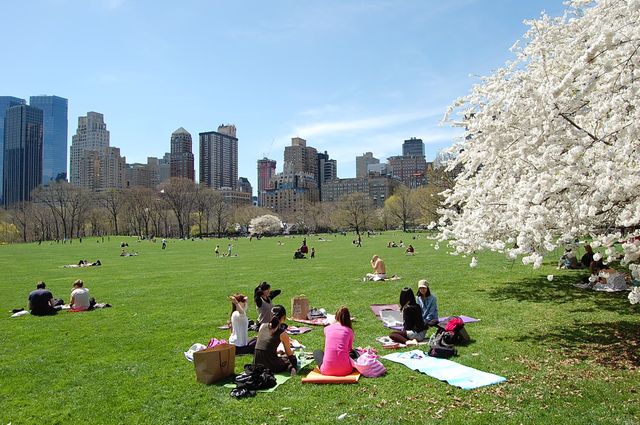 Lovely Central Park