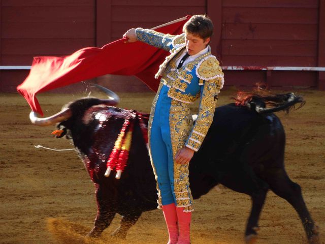 Stierenvechten is in Spanje - helaas - nog steeds een volkssport
