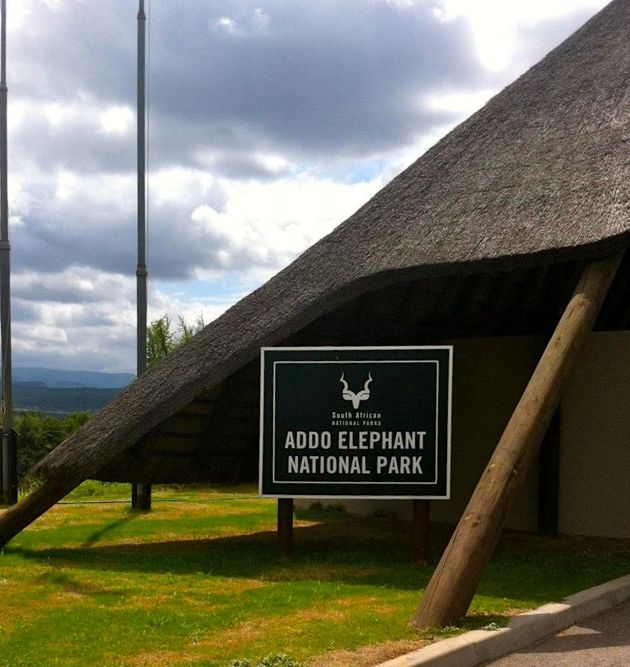 Addo Elephant National Park is een aanrader!