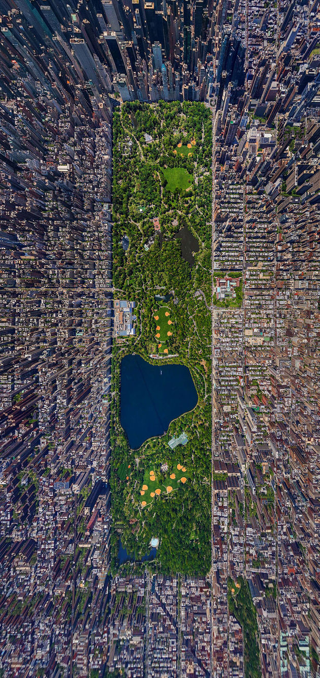 Central Park in New York City