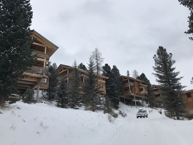 Alpenpark verscholen in het dennenbos