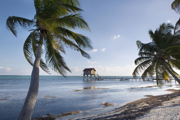 Ambergris Caye - BelizeCredits: Etrayne04 \/ Fotolia.com