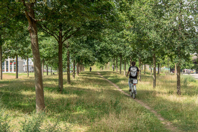 Tot rust komen in het groene Park Spoor Noord