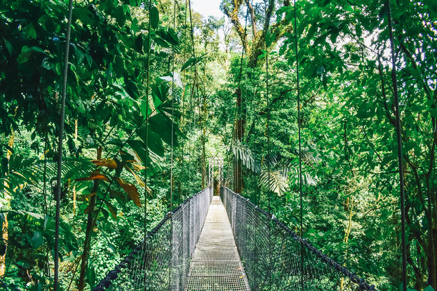 Een van de hangbruggen in Mistico Arenal Hanging Bridges Park