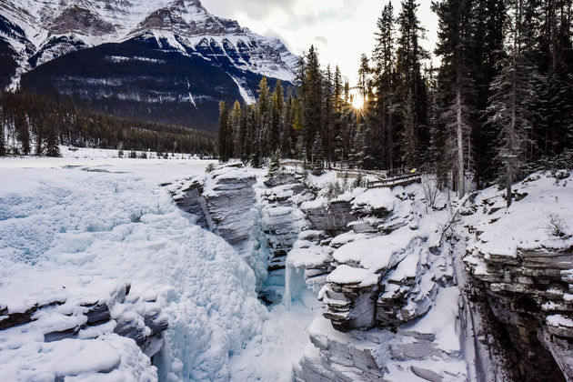 Naar de Athabasca Falls bijvoorbeeld