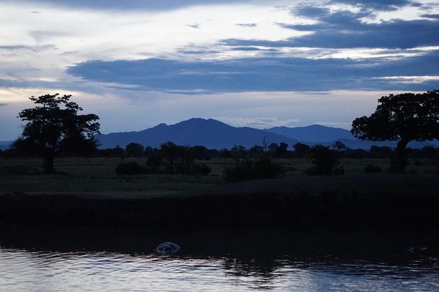 Zie jij het al zitten, op safari in Tanzania?