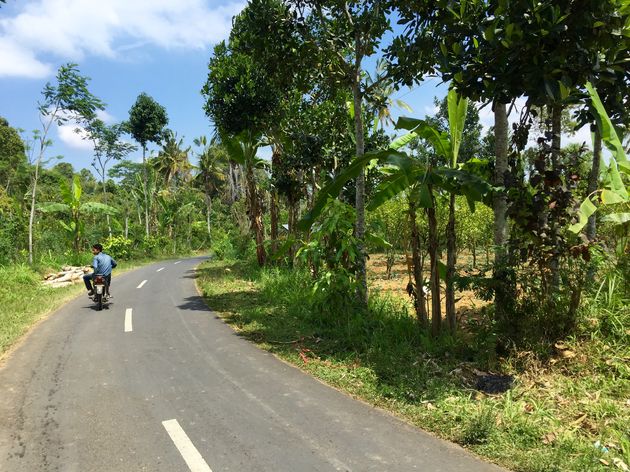 De omgeving van Ubud