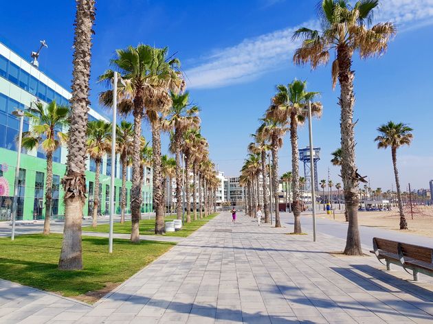 De Barceloneta, beste plek om s`ochtends vroeg te gaan hardlopen