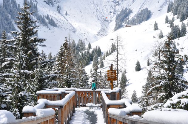 De Baumzipfelweg op een prachtige winterse dag