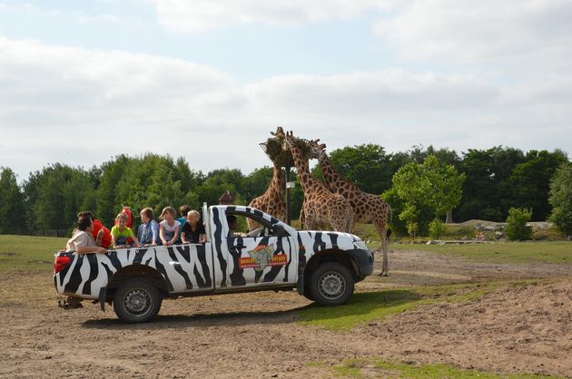 Safaripark Beekse Bergen