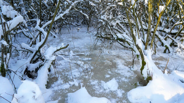 `Frozen` Moerputten