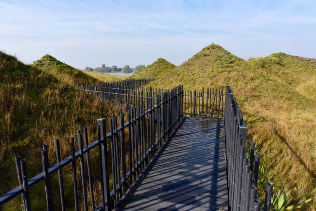 Het bijzondere dak van het Biesbosch MuseumEiland waar je overheen kunt wandelen