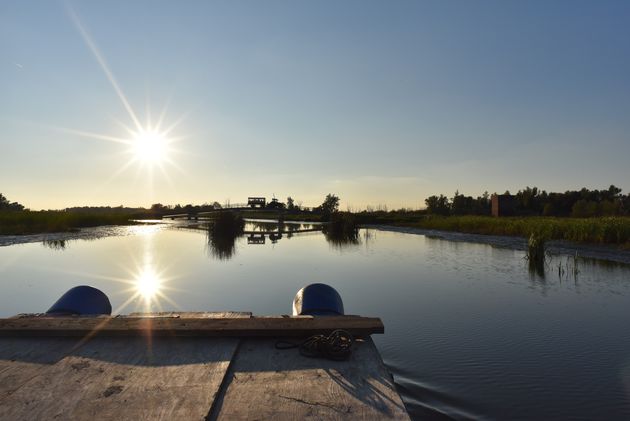 Peddelen door de Biesbosch, het mooiste stukje natuur van Nederland!