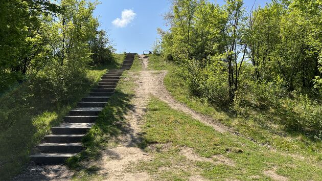 Natuurlijke uitkijktoren bij de Petrusplaat