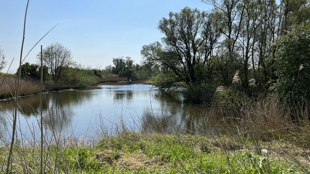 Biesbosch vennen