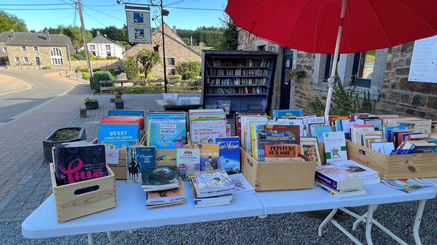 Boekenstalletjes in Redu