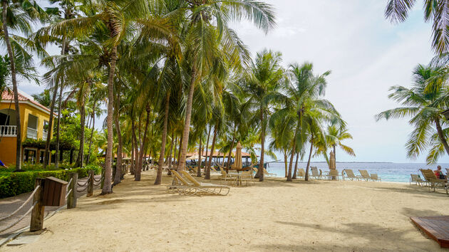 Geen Europa, maar Bonaire is in mei wel de perfecte vakantiebestemming
