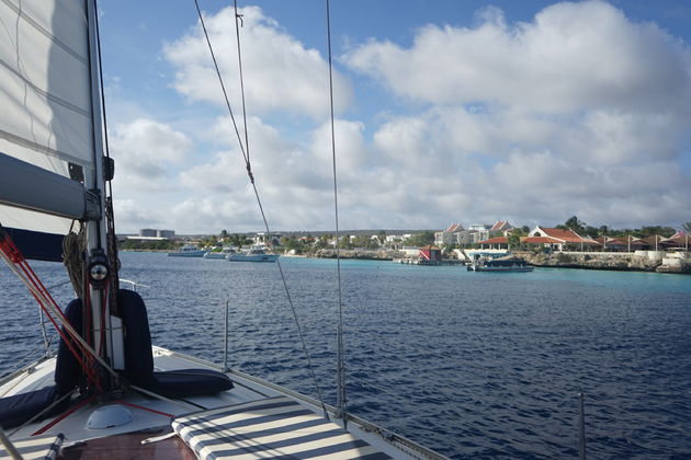 Vanaf de boot zie je de duurste huizen staan langs de kust.