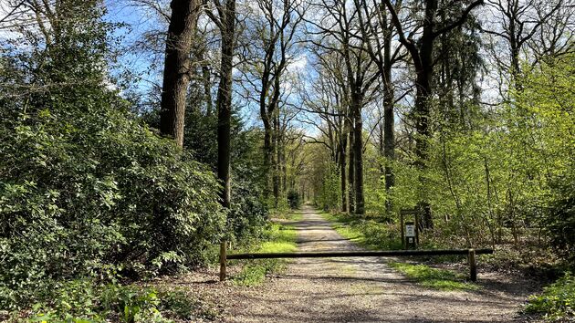 Een heel andere natuur bij Stabroek