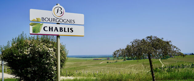 Welkom in Chablis