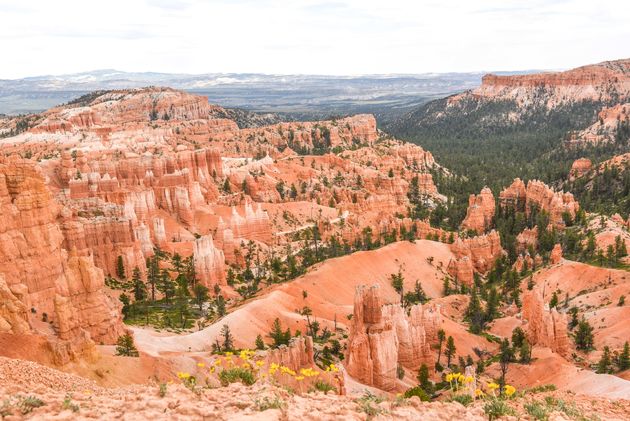 Het Bryce Amphitheater, de mooiste plek van het park