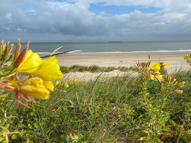 Het strand van Cadzand-Bad is beeldschoon