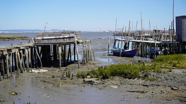 Cais_Palafítico_da_Carrasqueira_63.