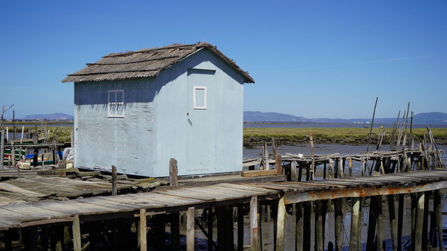 Cais_Palafítico_da_Carrasqueira_64.