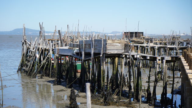 Cais_Palafítico_da_Carrasqueira_89.