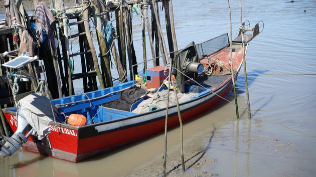 Cais_Palafítico_da_Carrasqueira_90.