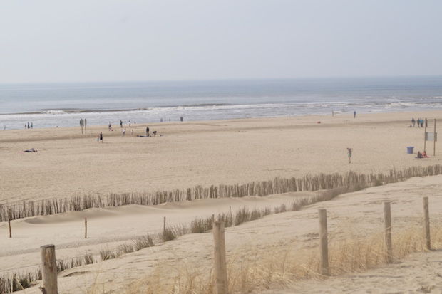 Het bijzondere strand bij Camperduin