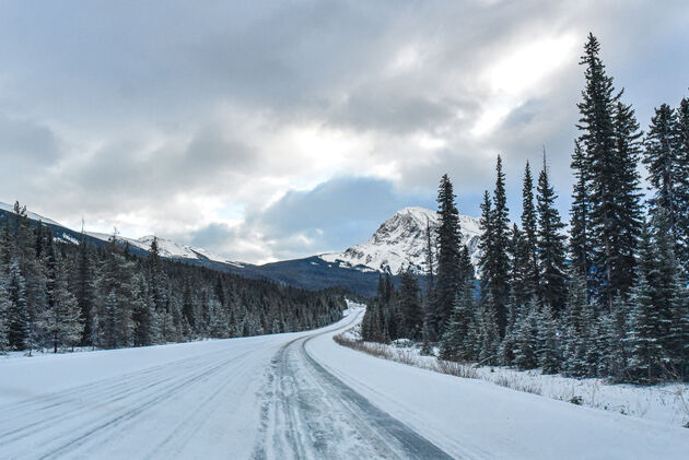 Je komt er via de Icefields Parkway, een hele mooie weg om te rijden!